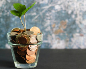 tree plant in a glass of money